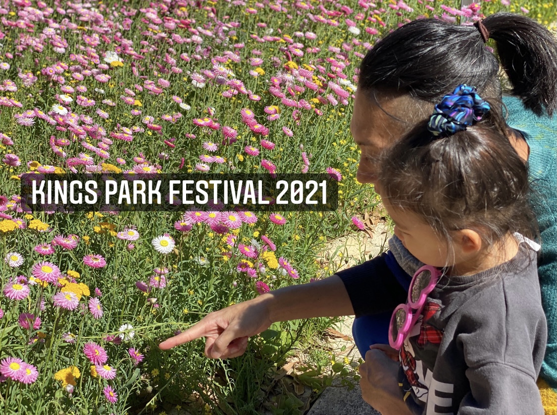 Kings Park Festival 2021】ワイルドフラワーを見に行こう！@キング